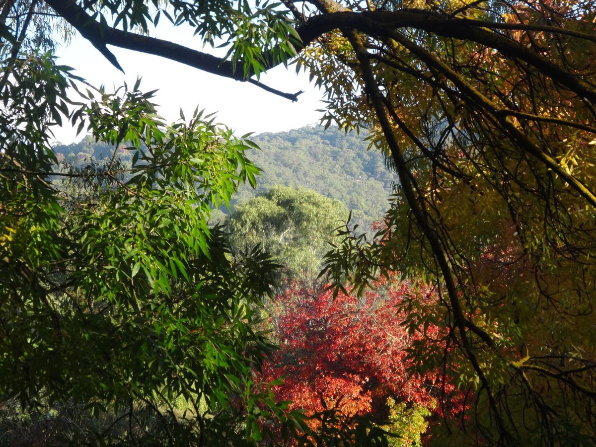 Yarra Ranges Country Apartment Mount Evelyn Exteriör bild