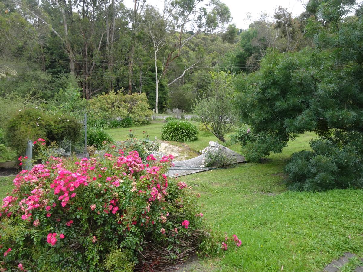 Yarra Ranges Country Apartment Mount Evelyn Exteriör bild