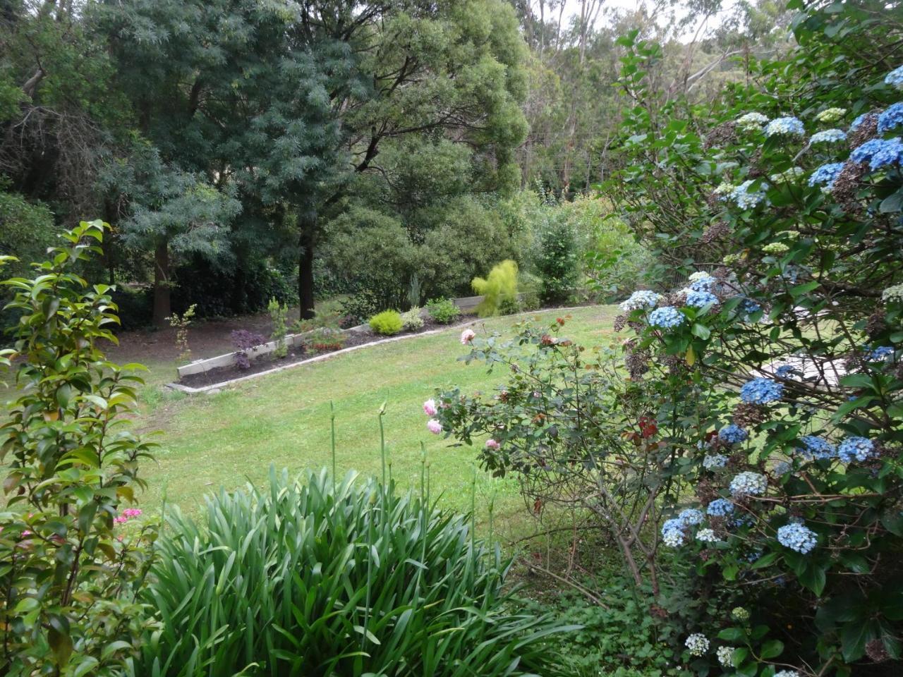 Yarra Ranges Country Apartment Mount Evelyn Exteriör bild