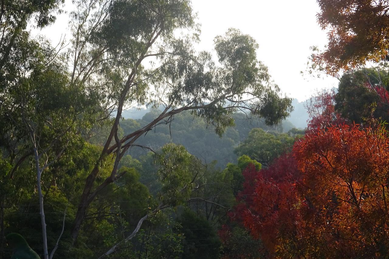 Yarra Ranges Country Apartment Mount Evelyn Exteriör bild