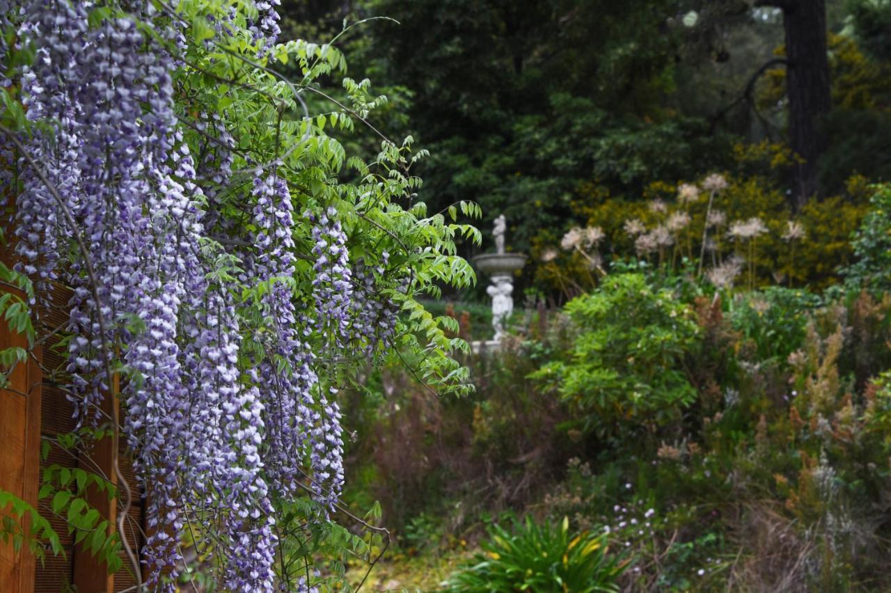 Yarra Ranges Country Apartment Mount Evelyn Exteriör bild