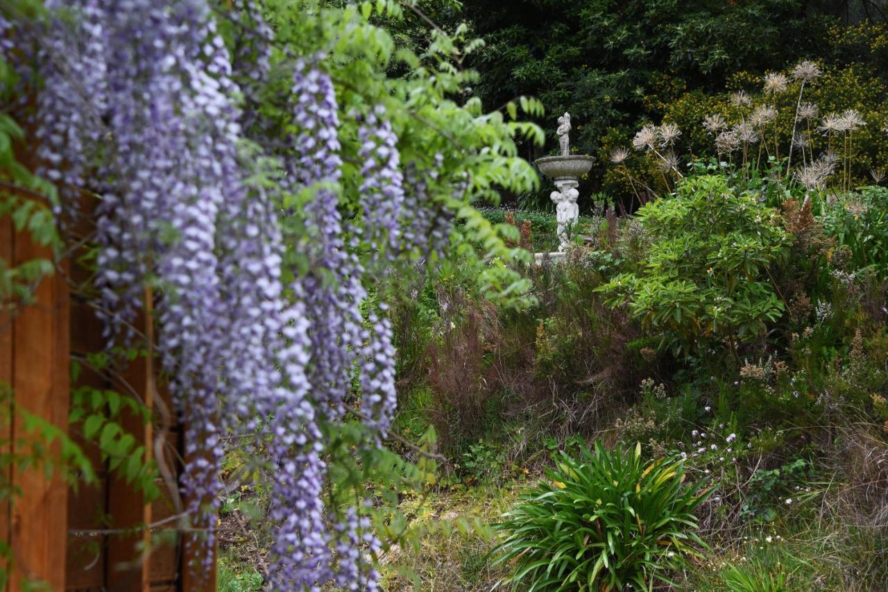 Yarra Ranges Country Apartment Mount Evelyn Exteriör bild