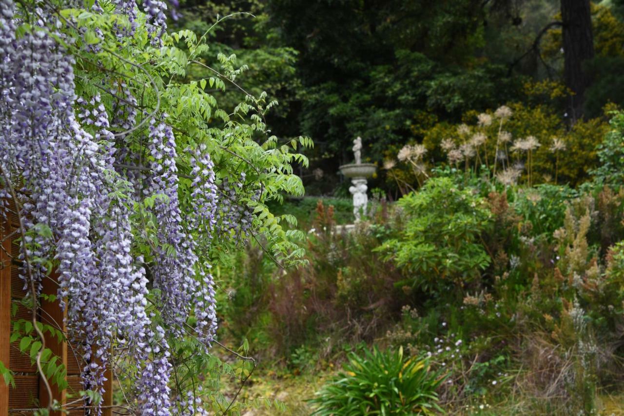 Yarra Ranges Country Apartment Mount Evelyn Exteriör bild